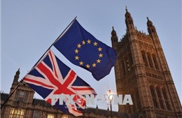 Nhiều nghị sĩ Anh đề nghị trì hoãn thời hạn rời EU 